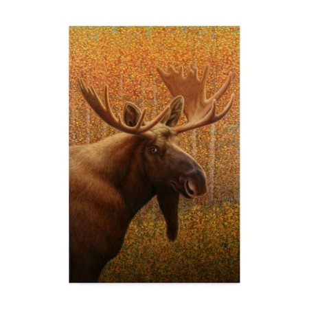 Trademark Fine Art James W. Johnson 'Moose' Canvas Art, 22x32 ALI36258-C2232GG